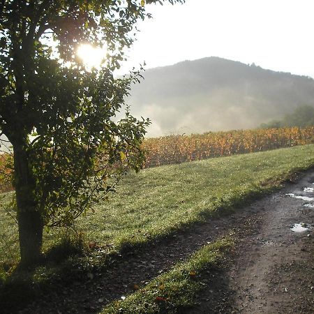 Grange Renovee En Pleine Nature Valady Εξωτερικό φωτογραφία