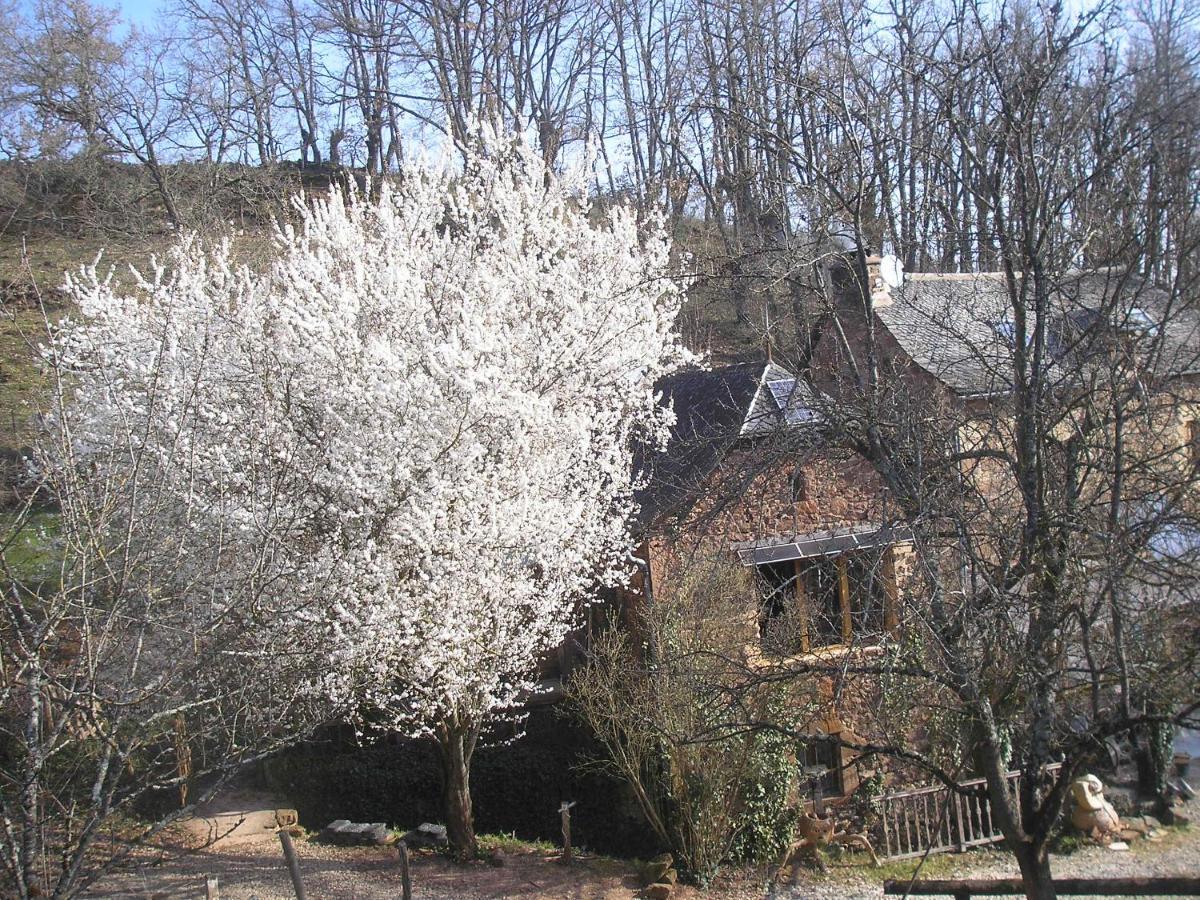 Grange Renovee En Pleine Nature Valady Εξωτερικό φωτογραφία