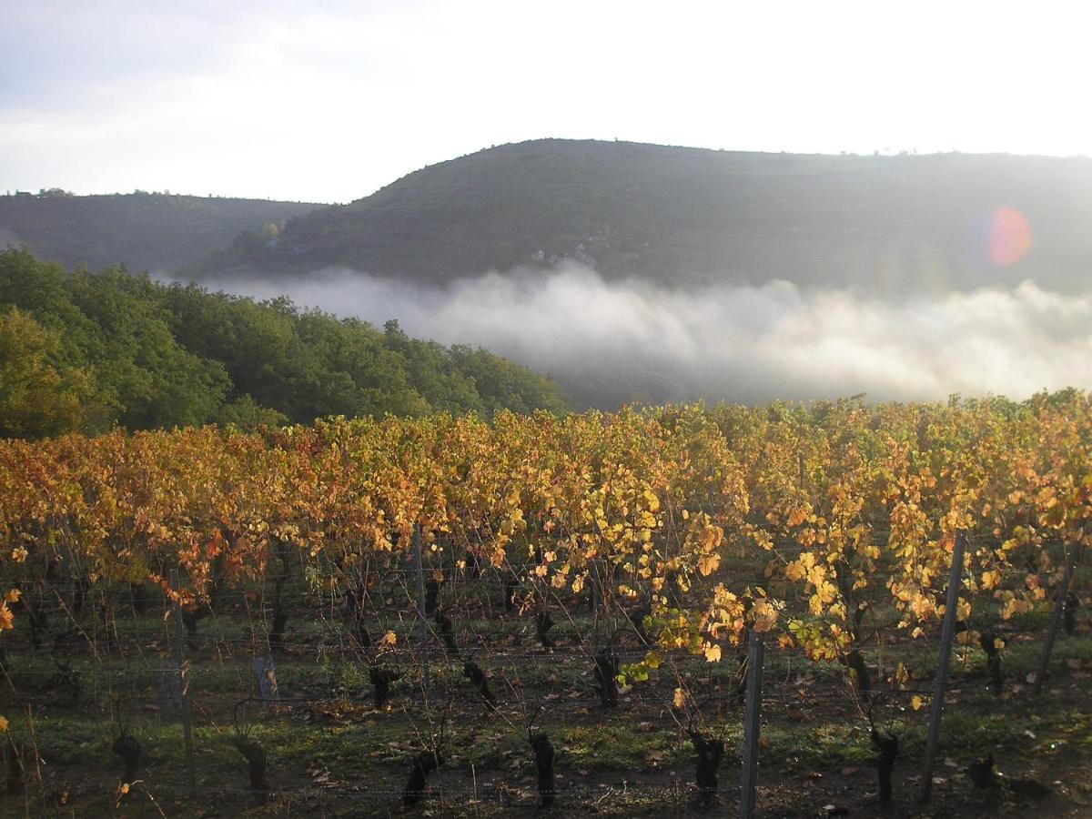 Grange Renovee En Pleine Nature Valady Εξωτερικό φωτογραφία