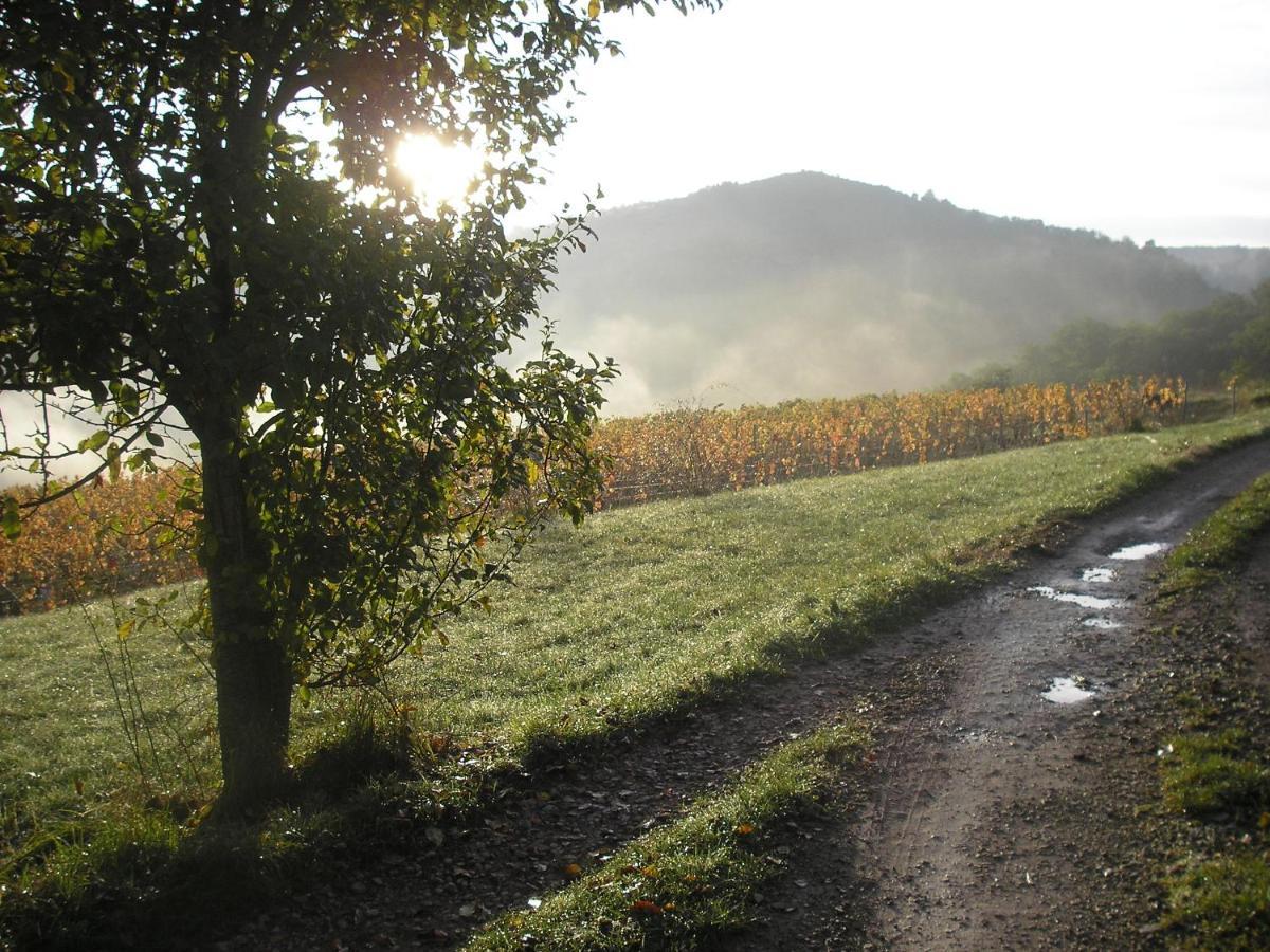 Grange Renovee En Pleine Nature Valady Εξωτερικό φωτογραφία